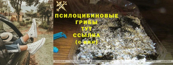 гашик Лиски