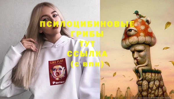 крисы Абинск