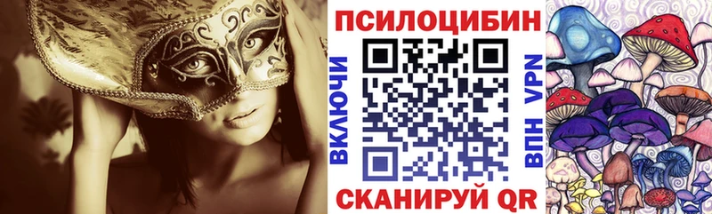 MEGA зеркало  закладка  Шимановск  Псилоцибиновые грибы Psilocybe 